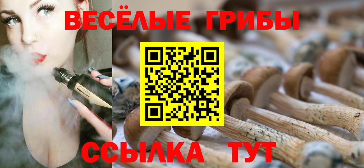 Галлюциногенные грибы мицелий Щёкино